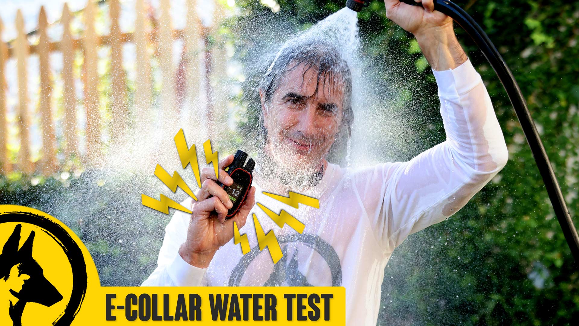 E-Collar Water Test