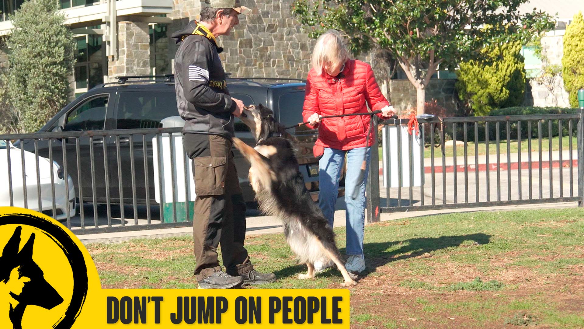 Don’t Jump on People