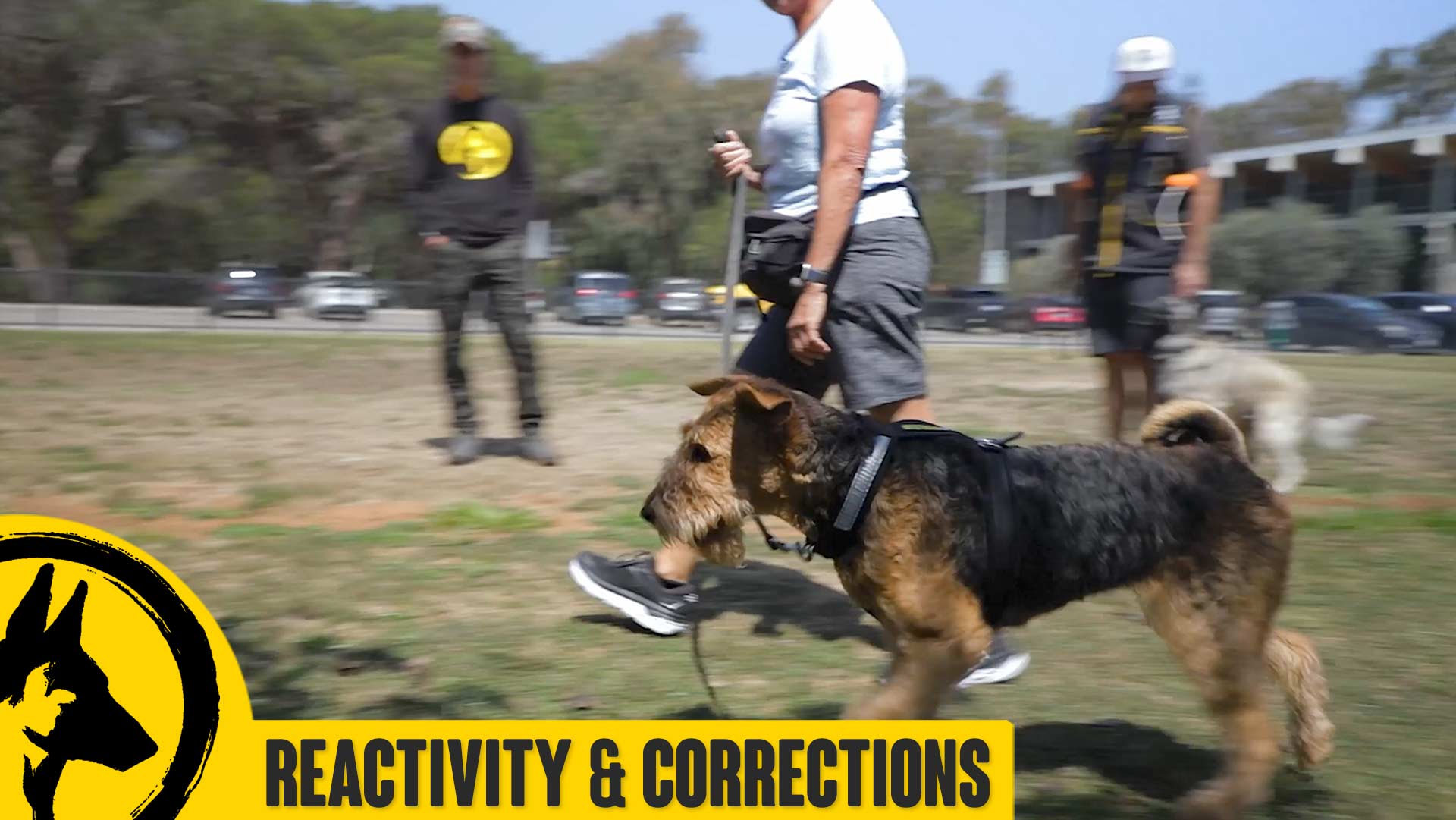 Reactivity & Corrections with Lucy
