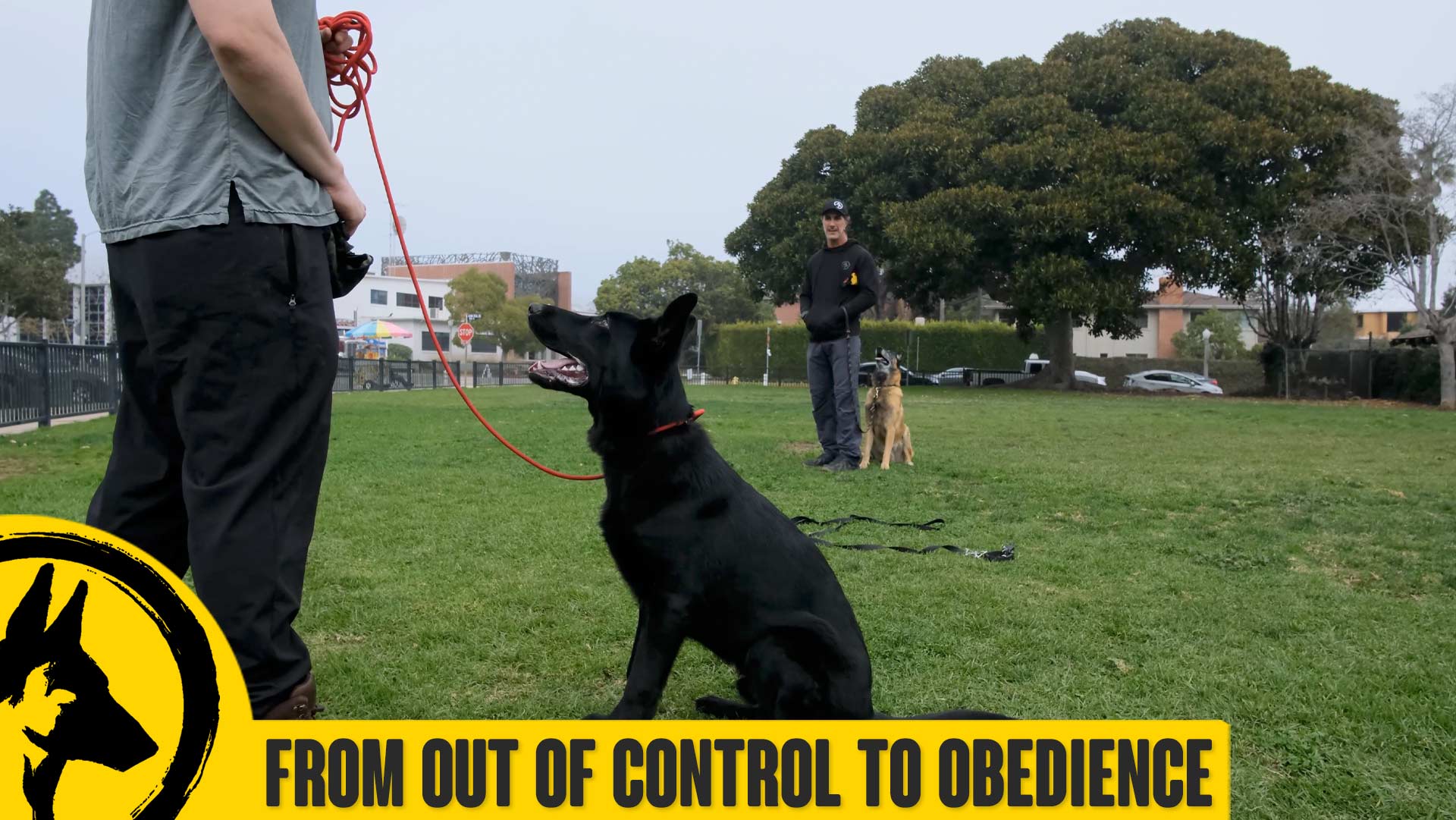 Sonny Pt. 3 – Out of Control to Obedience