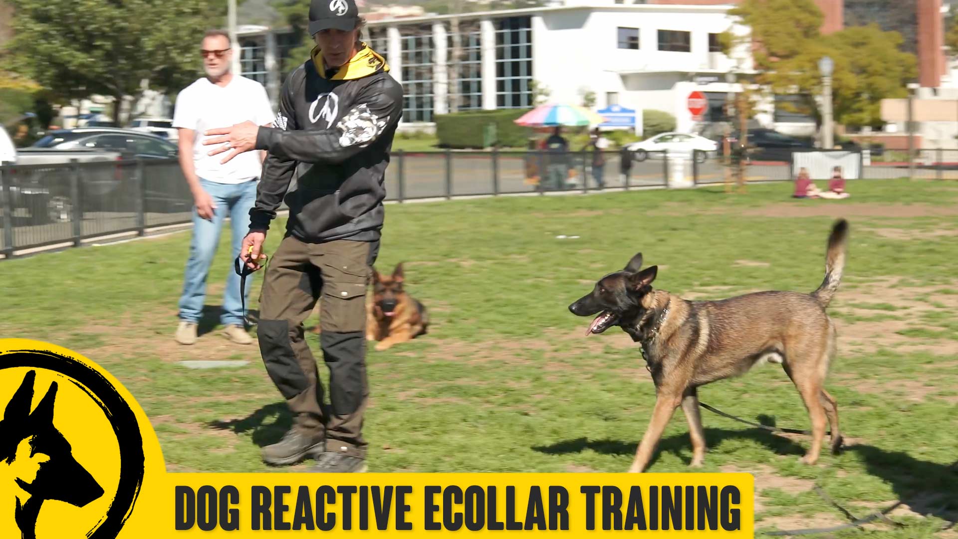 Dog Reactive Malinois Ecollar Session