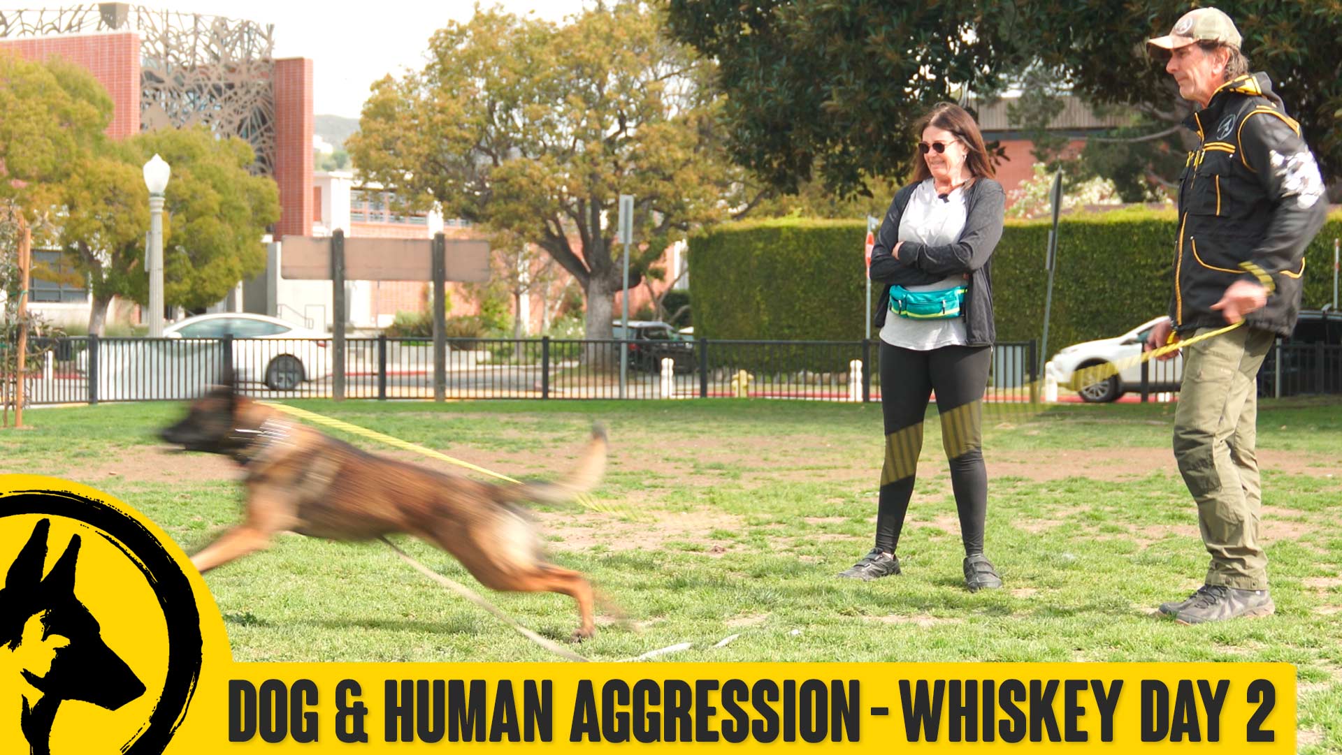 Dog & Human Aggression Whiskey Day 2