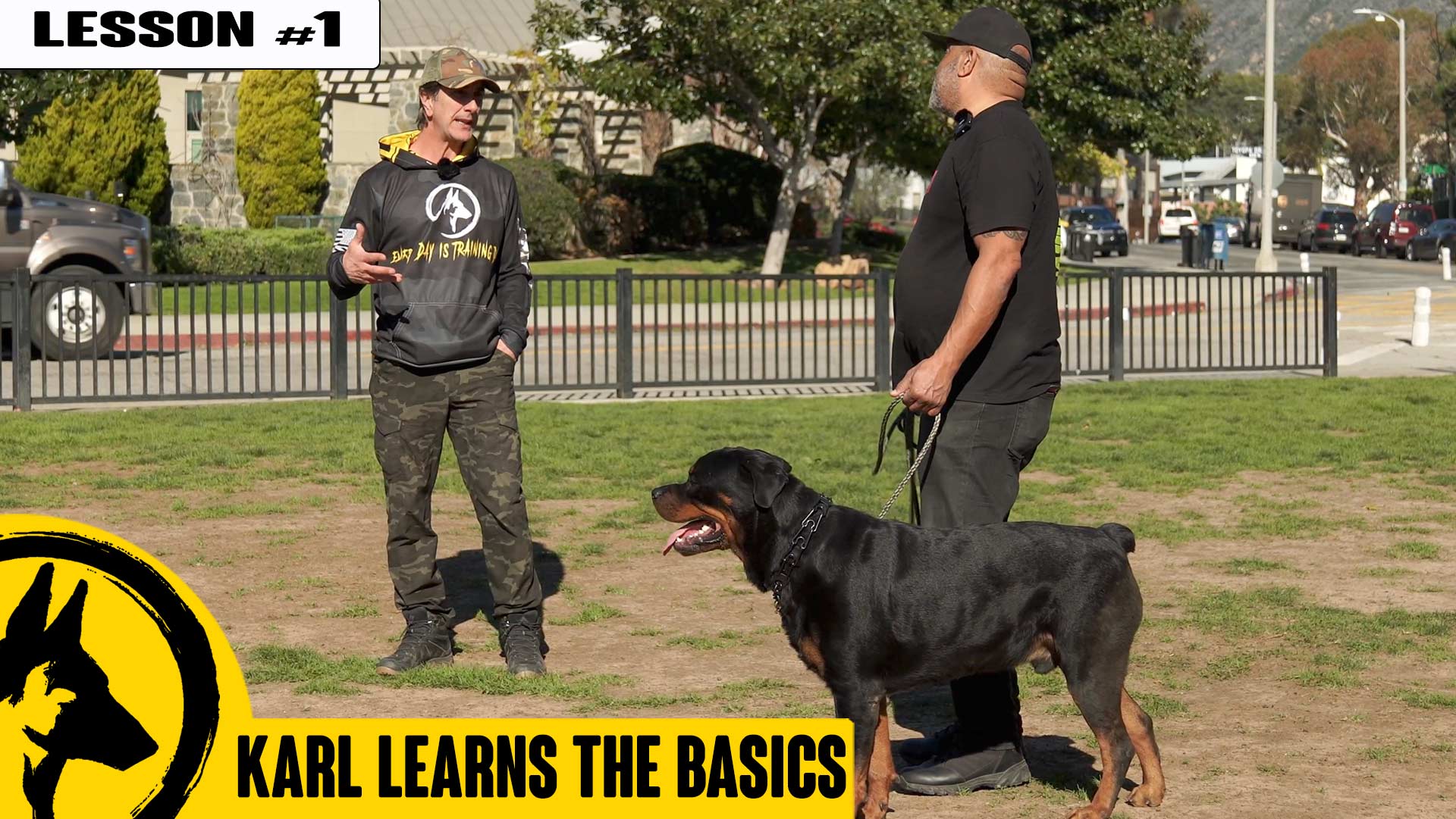 Basic Obedience – Day 1 with Karl the Rottweiler