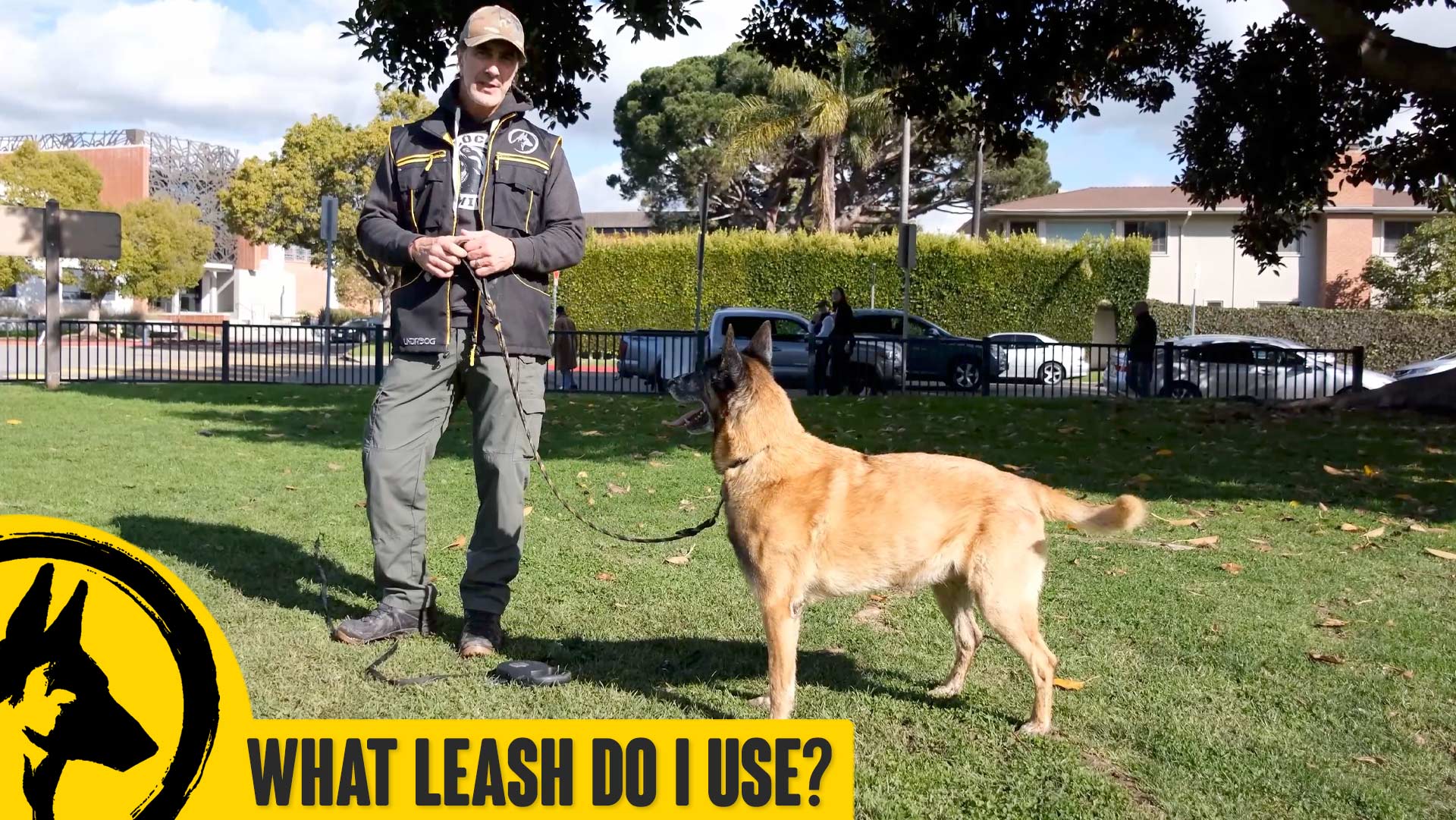 What Leash to Use for Training