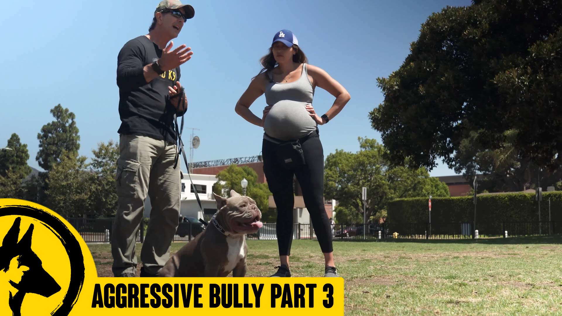 Dog & People Aggressive Bully – Session 3