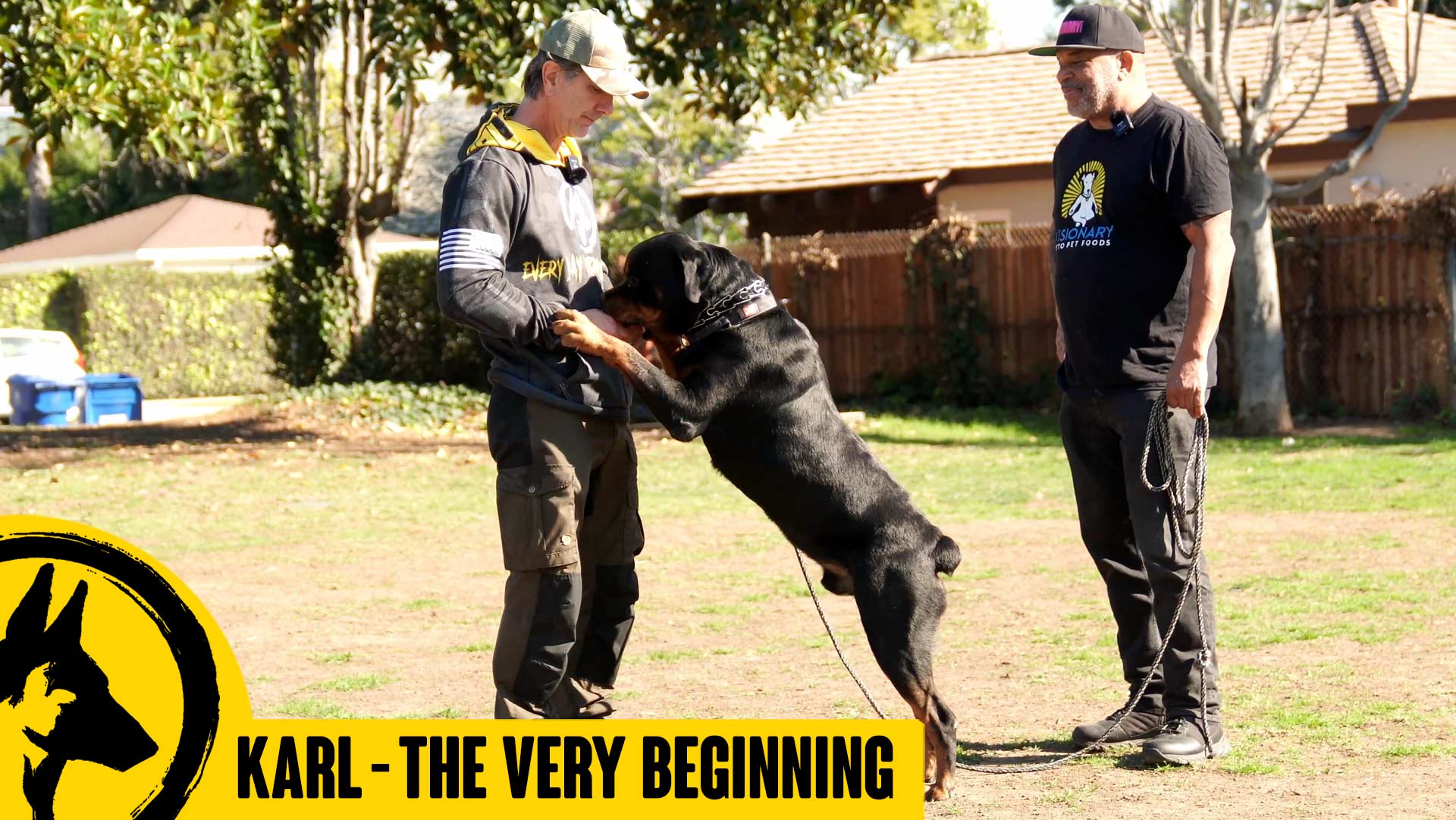 Karl the Rottweiler – The REAL Beginning
