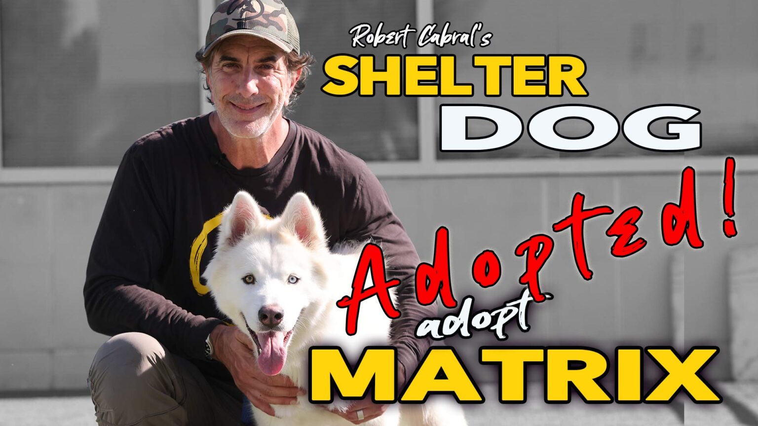 Adopted Shelter Dog "Matrix" Robert Cabral