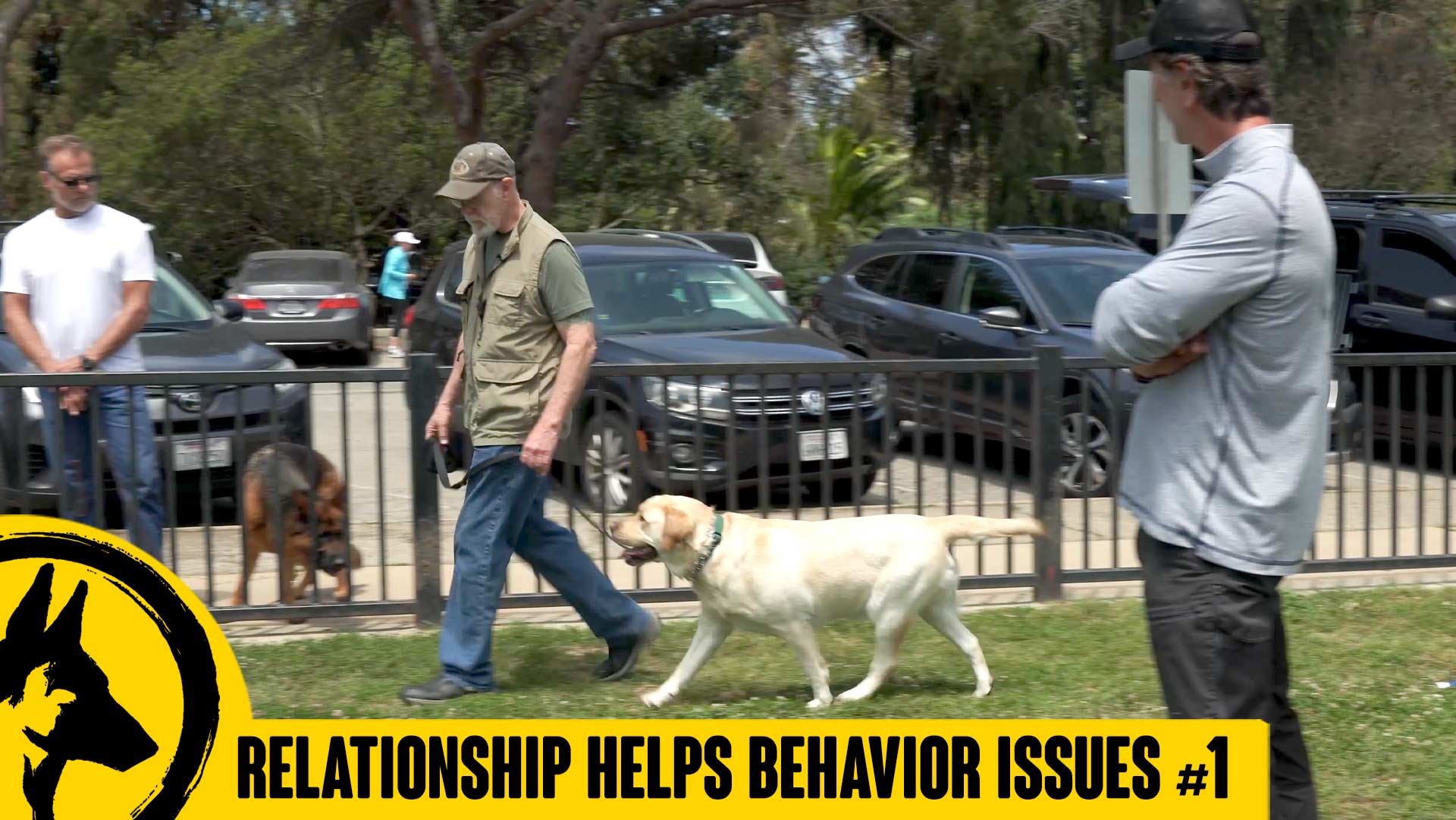How Relationship Affects Behavior