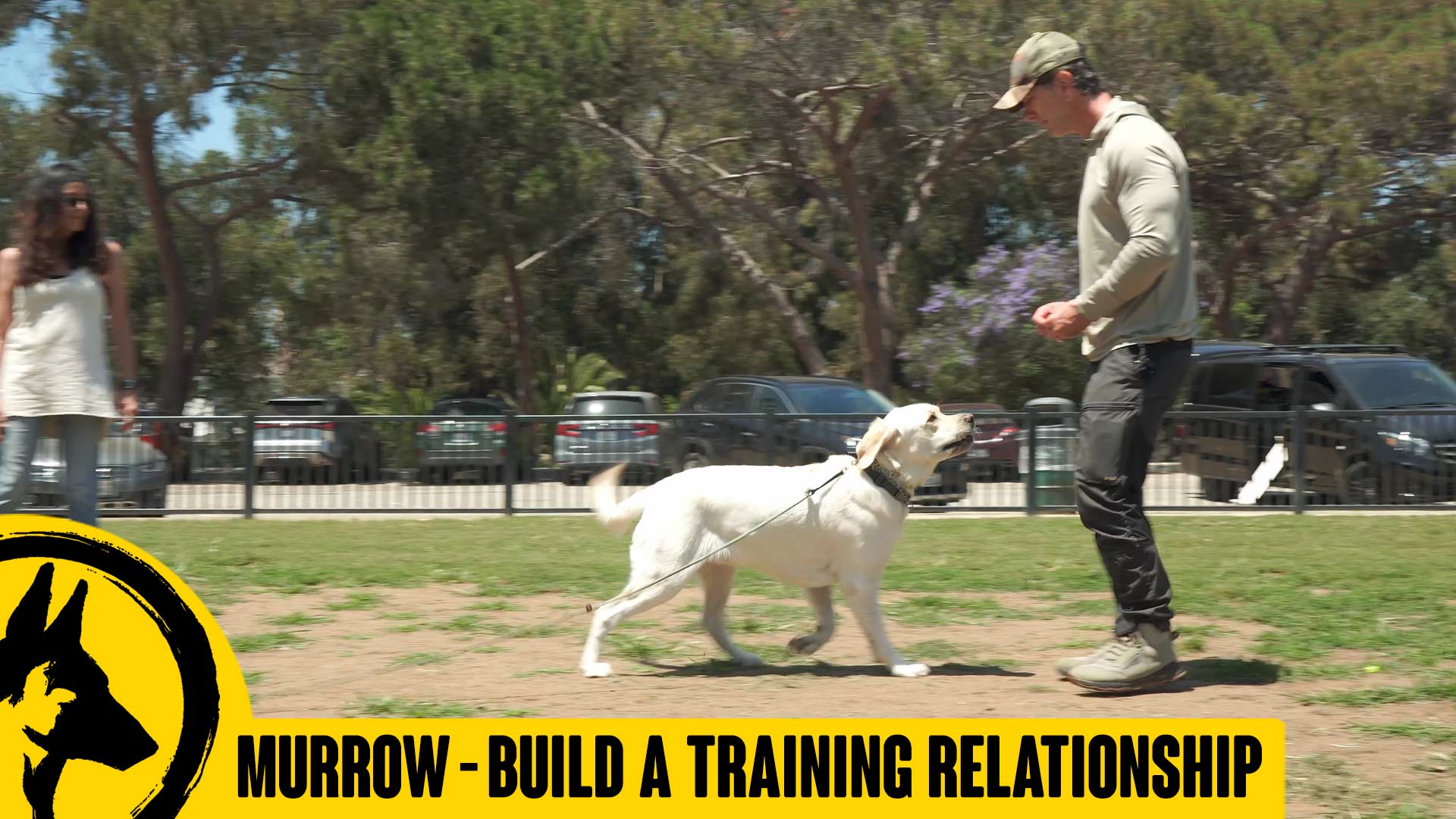Building a Relationship in Training – Murrow Lesson 2