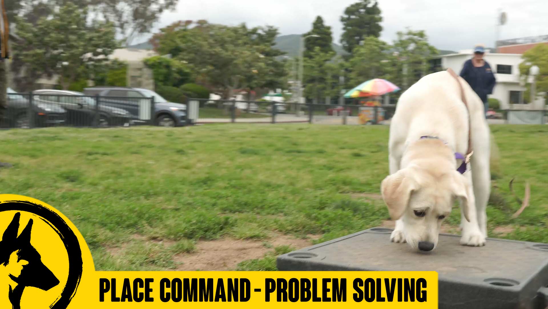 Place Command Problem Solving-  Mellow and Ellen Day 6