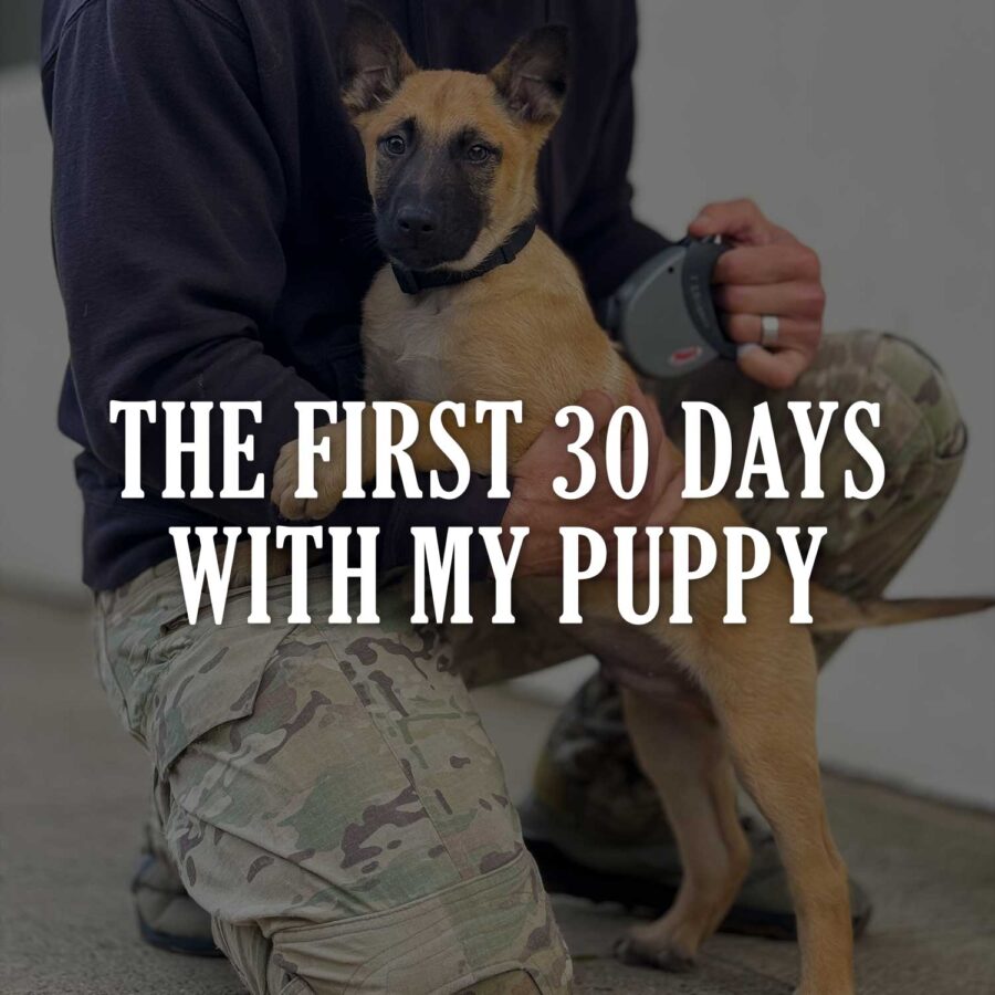 The First 30 Days With My Puppy - A Daily Journal