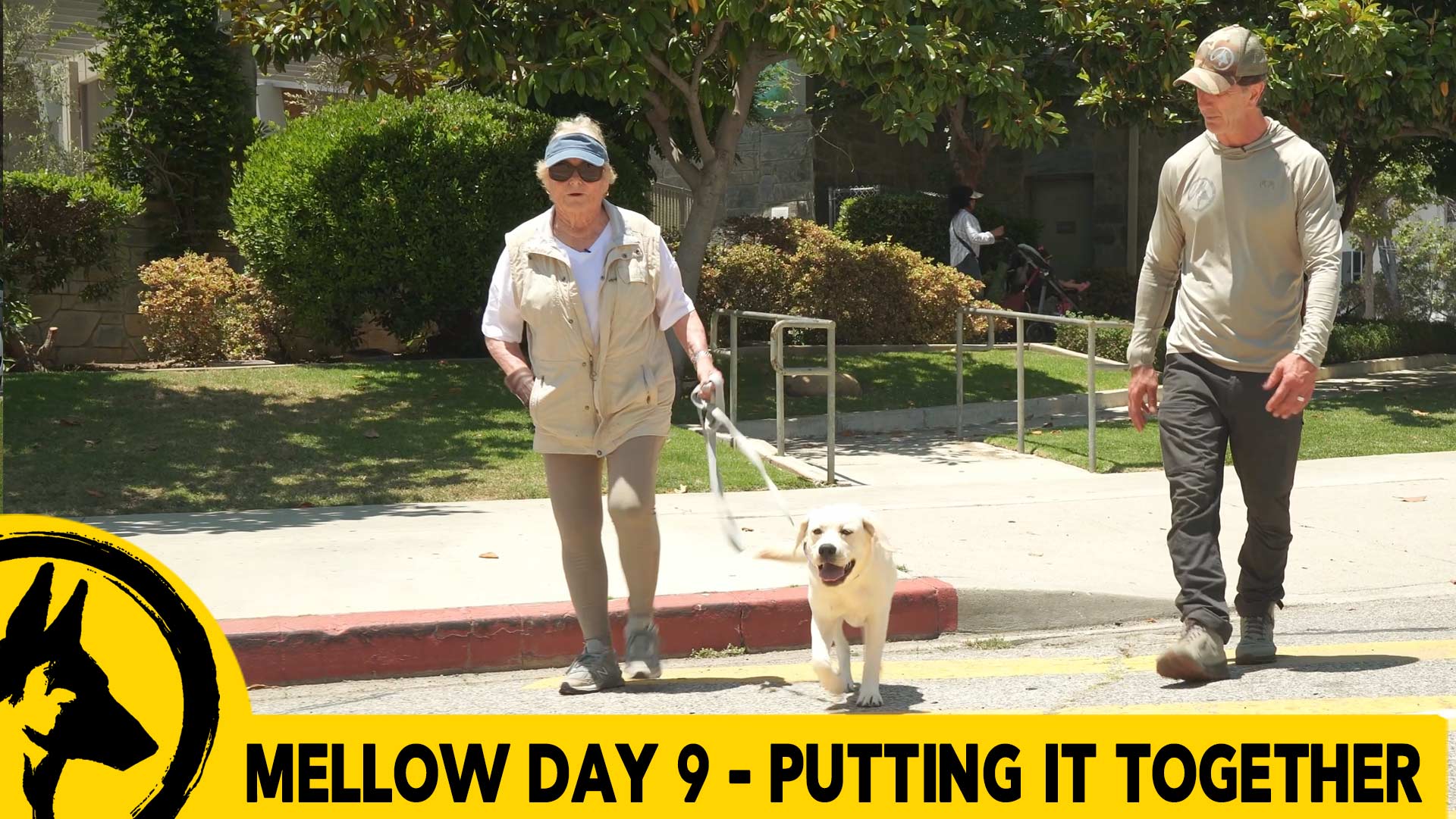Mellow Day 9 -Putting it Together