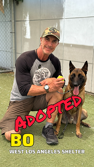 bo adopted
