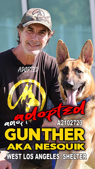 gunther-adopted-Port