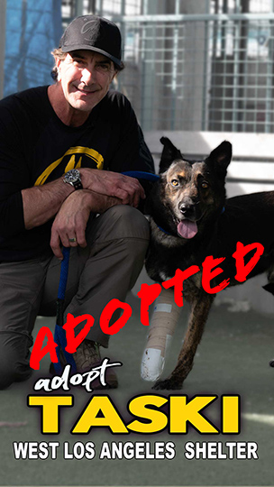 taski-adopt