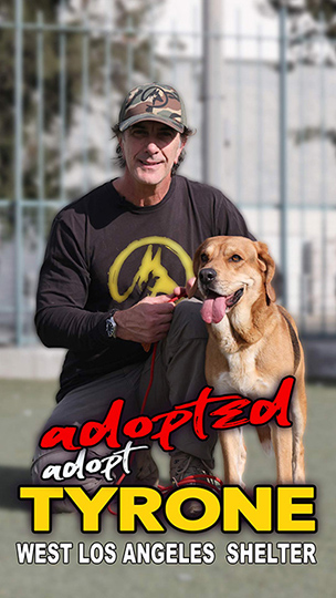 tyrone-adopted