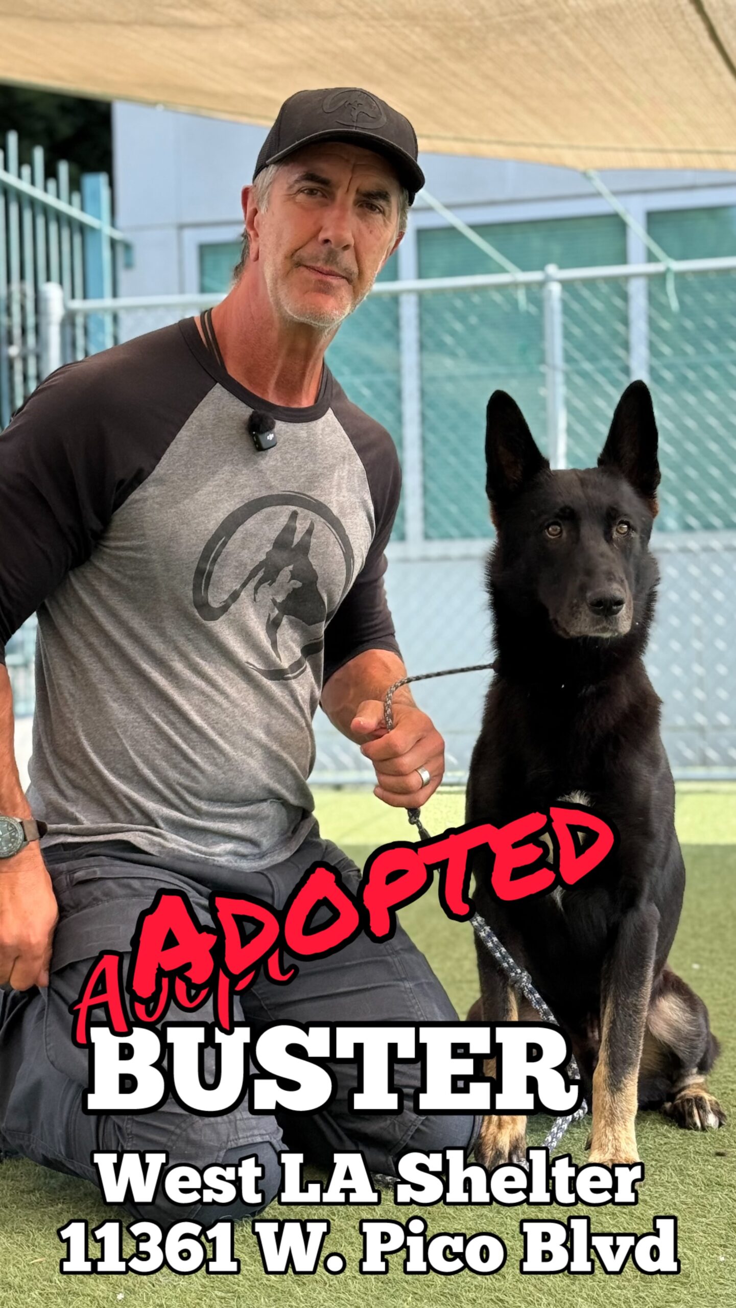 buster adopted