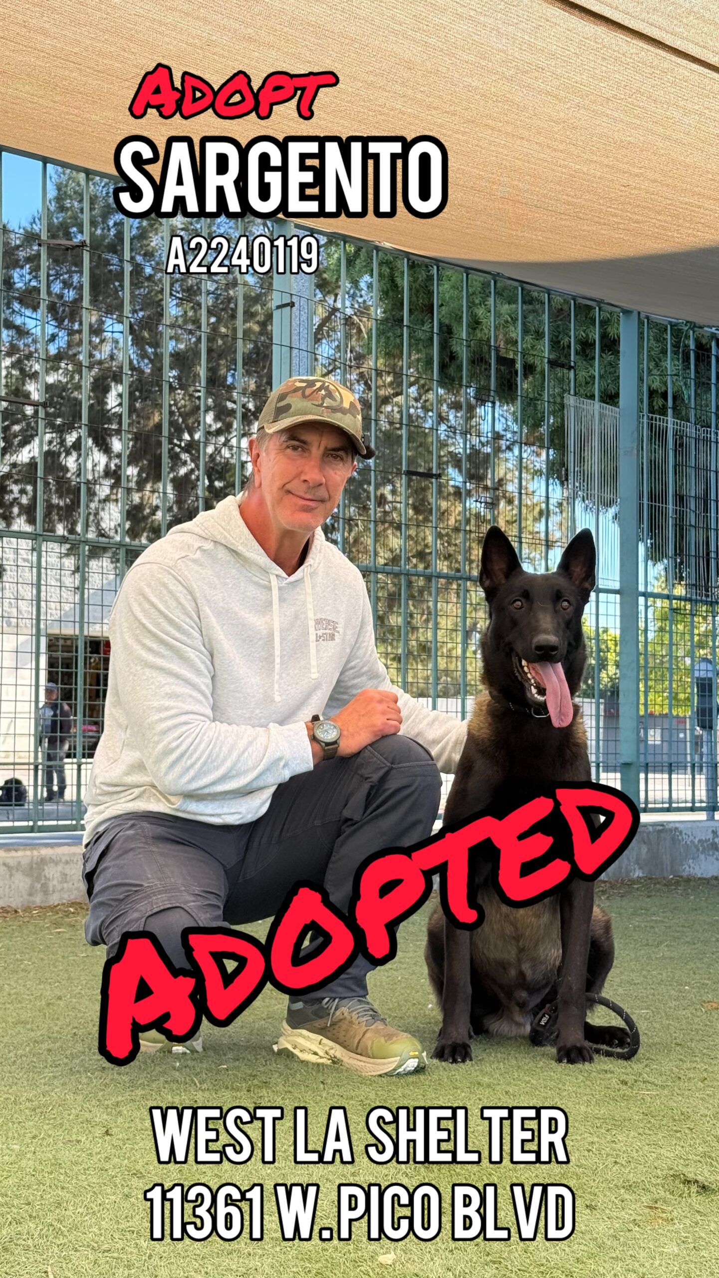 sargento adopted