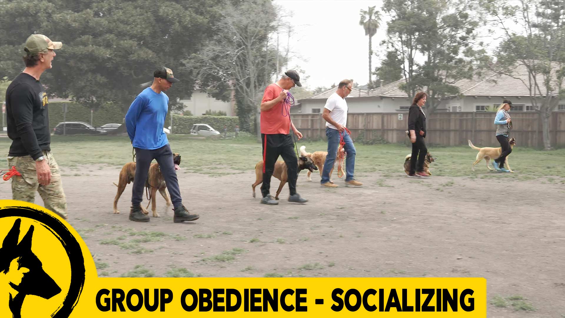 Group Class: Obedience & Social Skills