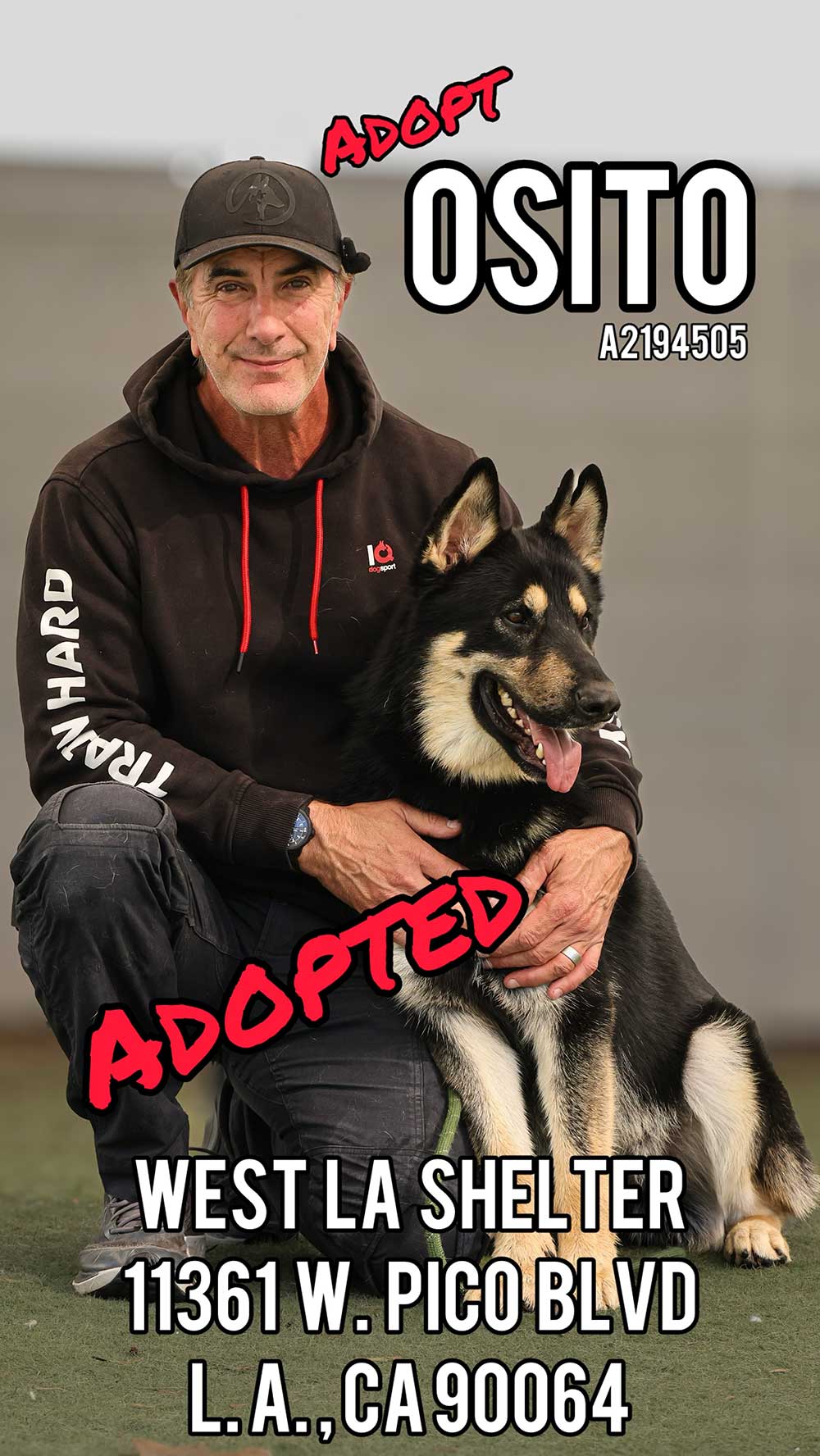 osito-adopted
