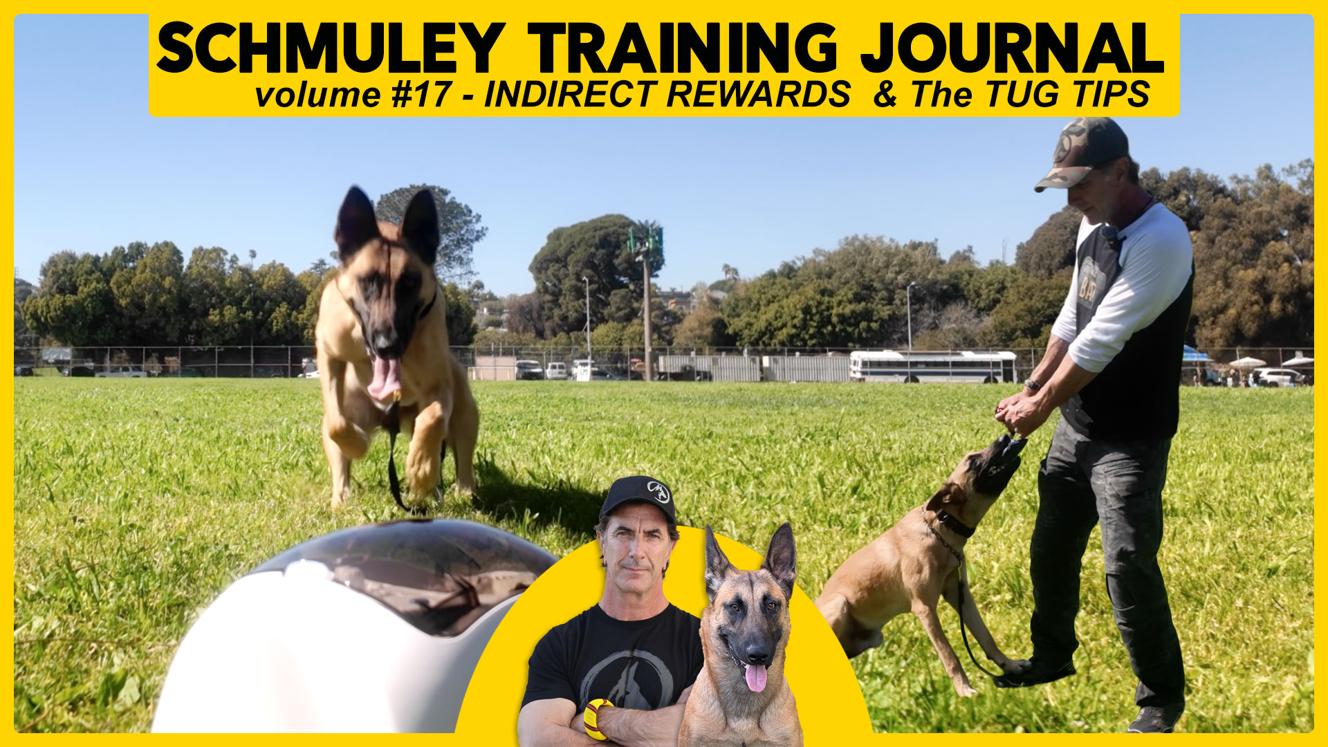 Schmuley Journal 17 – Indirect Rewards & Tug Game Tips