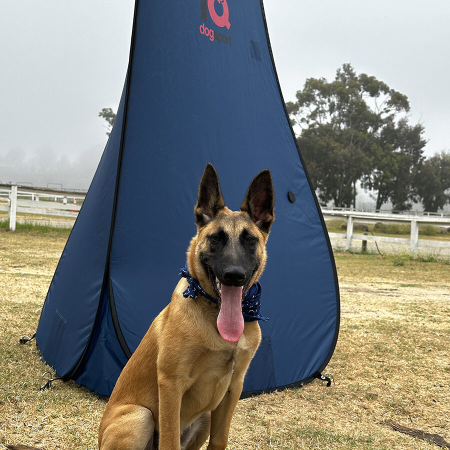 IQ Dogsport Training Gear