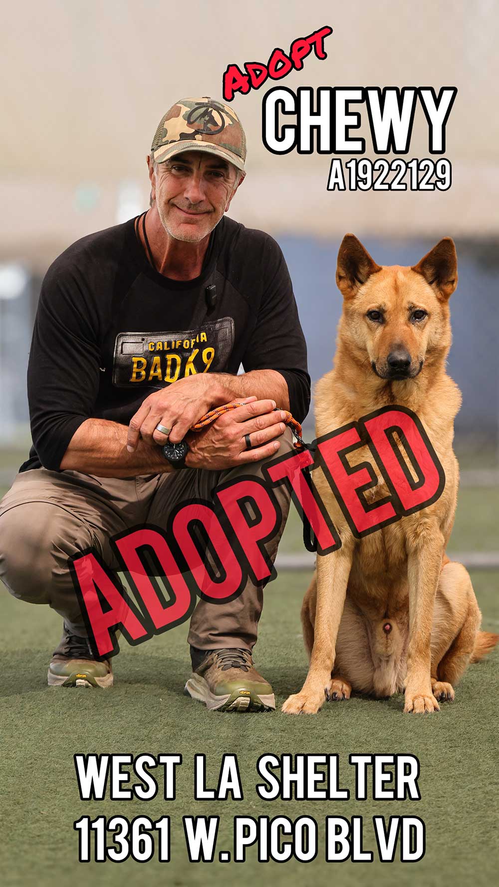 chewy-adopted