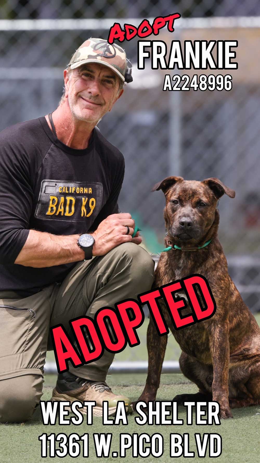 frankie-adopted