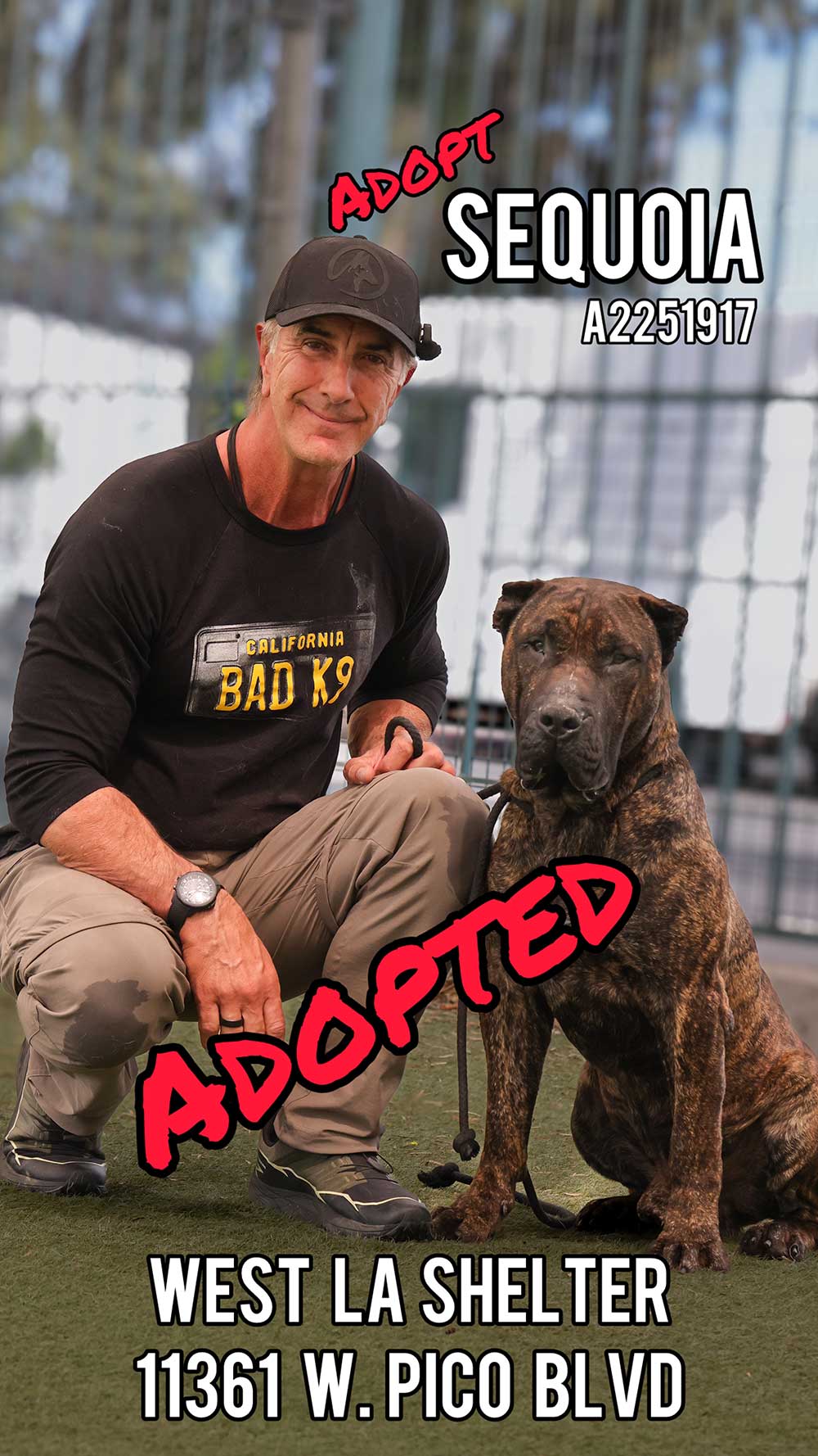 sequoia-adopted