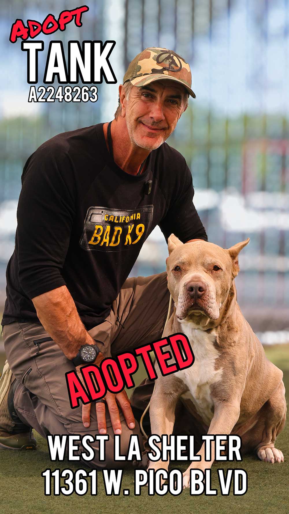 tank-adopted
