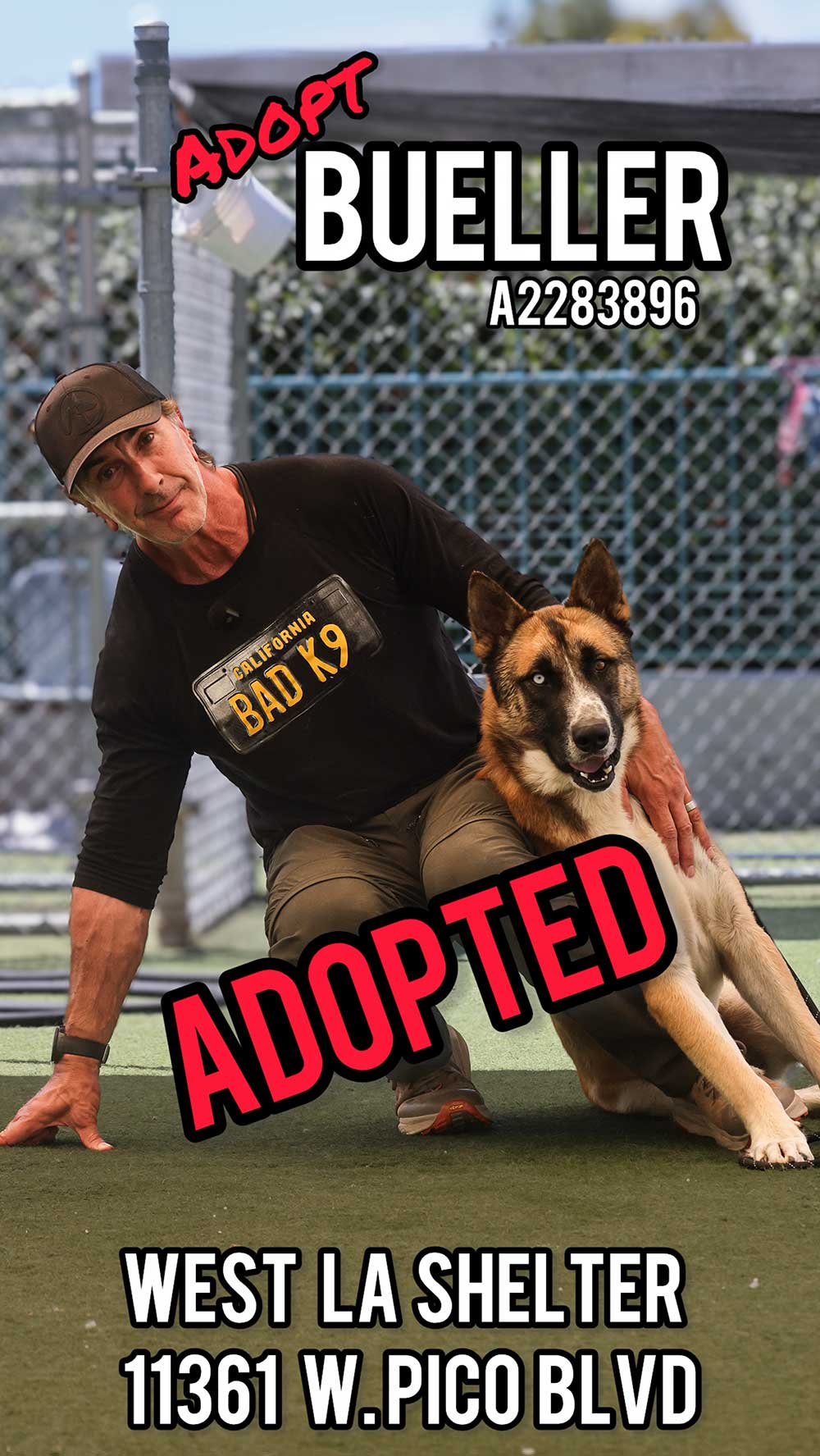 bueller-adopted