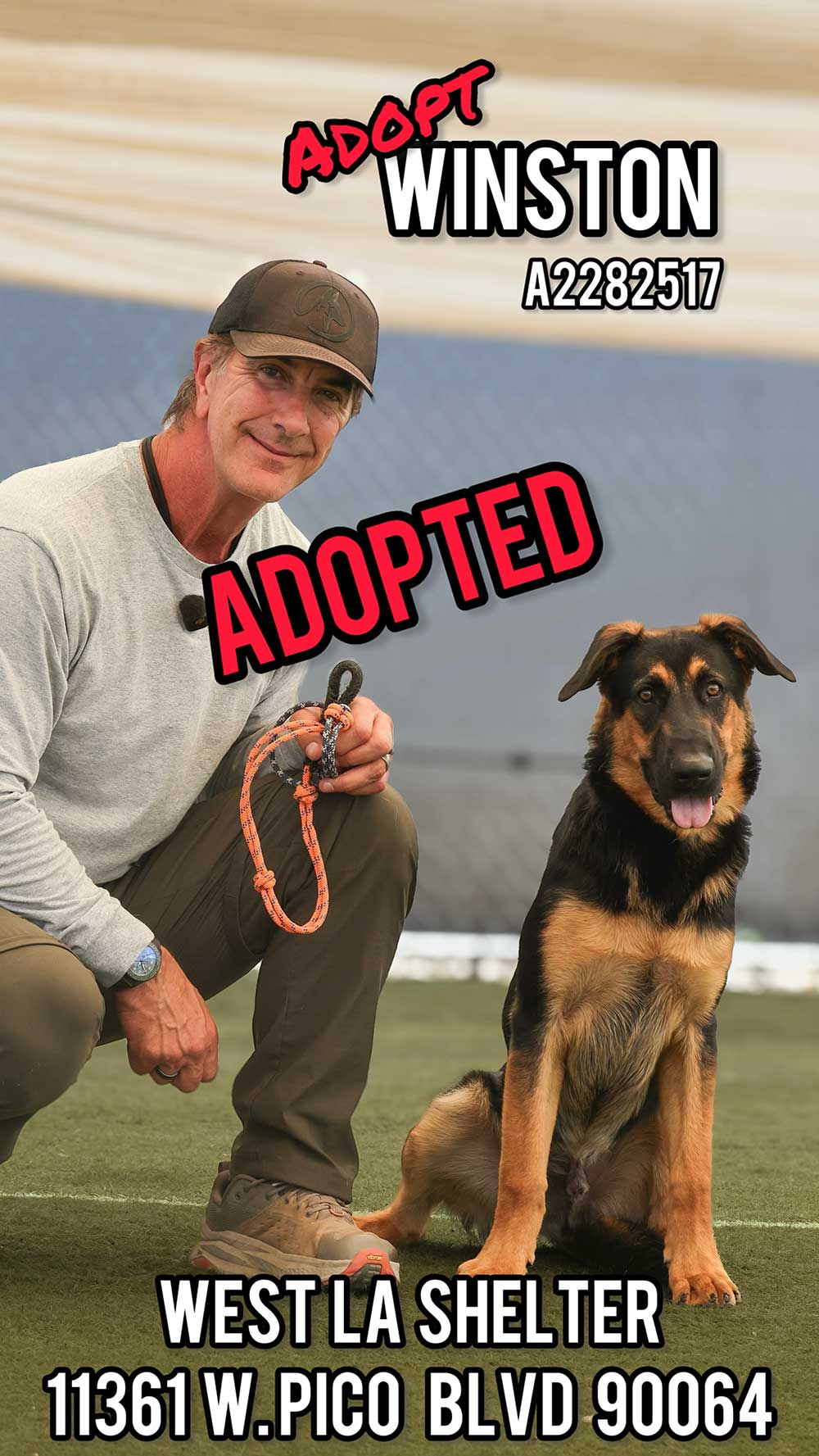 winston-adopted