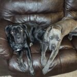 Profile photo of Marcos