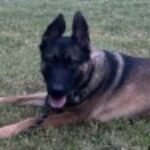 Profile photo of Jared