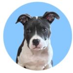 Profile photo of Jonathan