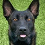 Profile photo of Scott