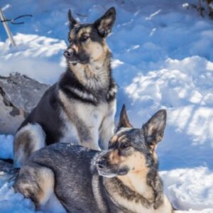 Profile photo of Michele