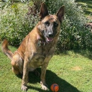 Profile photo of sue