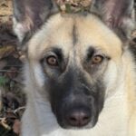 Profile photo of Roxana