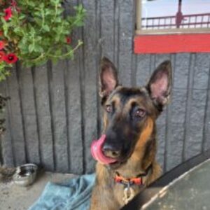 Profile photo of Liz