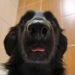 Profile photo of Anna