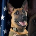 Profile photo of NORM