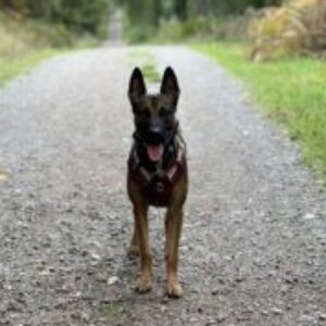 Profile photo of Peak