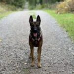 Profile photo of Peak