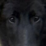 Profile photo of Susan