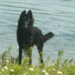 Profile photo of Susan