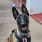 Profile photo of Pam