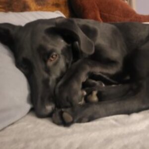 Profile photo of Karl