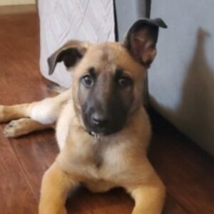 Profile photo of Samuel