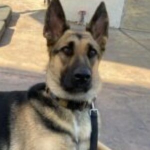 Profile photo of Lori